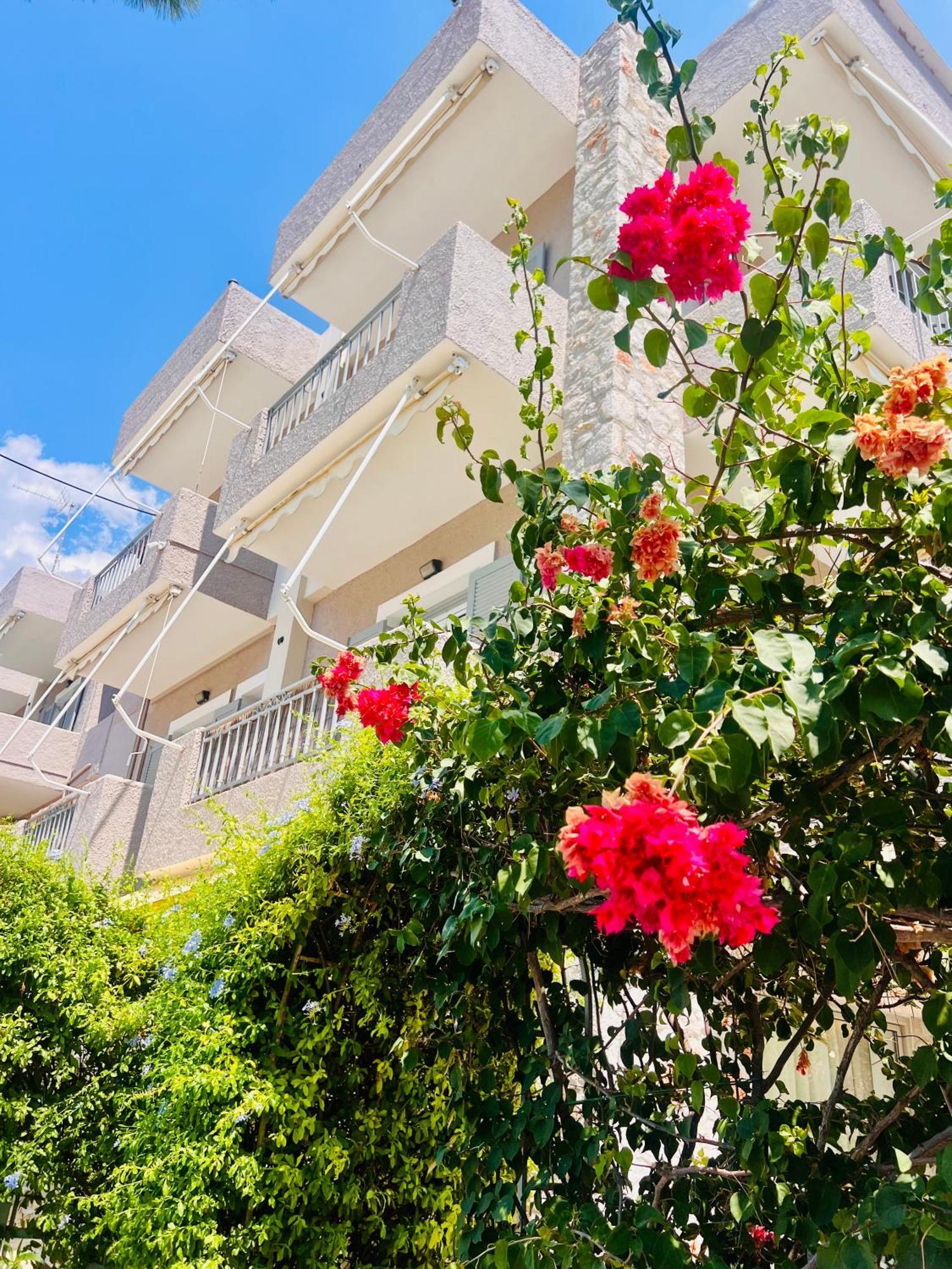 Aloe Luxury Apartments 波多河丽 外观 照片